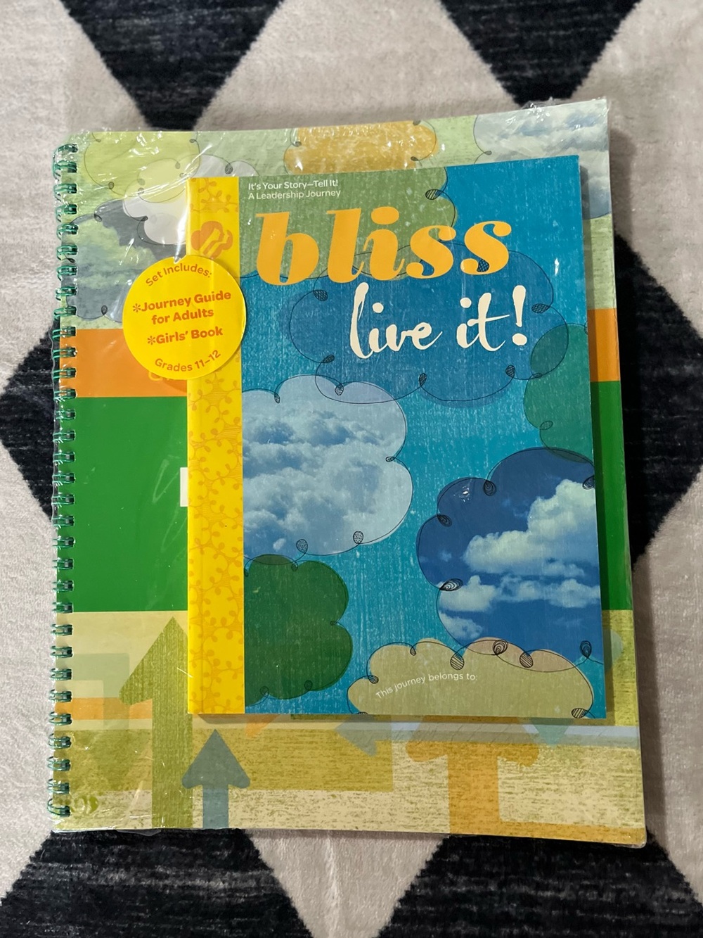 Bliss Live It! Spiral Journal - Blue, Green & Yellow
